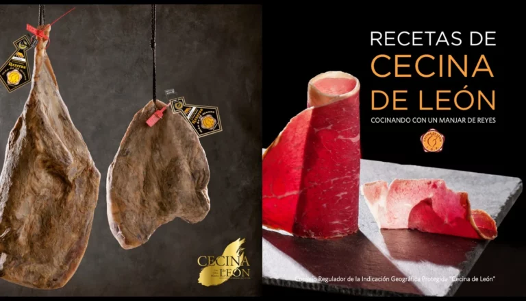 Portada del libro de cocina gratuito: Recetas de Cecina de León