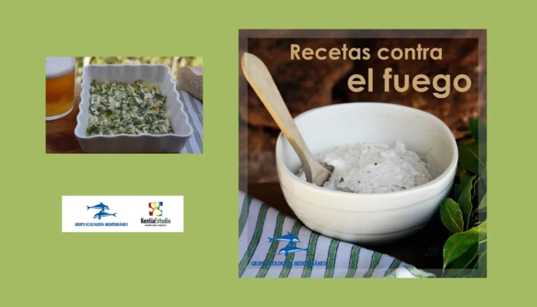 Portada del libro de cocina gratuito: Recetas contra el fuego