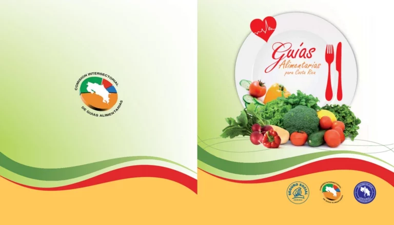 Portada del libro gratuito: Guías alimentarias para Costa Rica