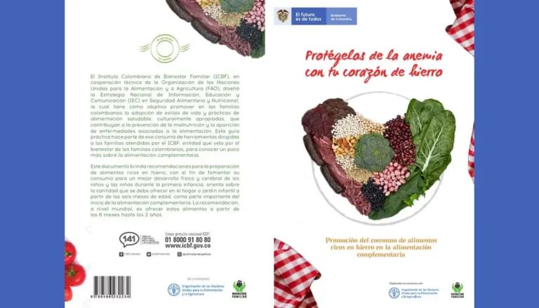 Portada del libro gratuito: Protégelos de la anemia con tu corazón de hierro