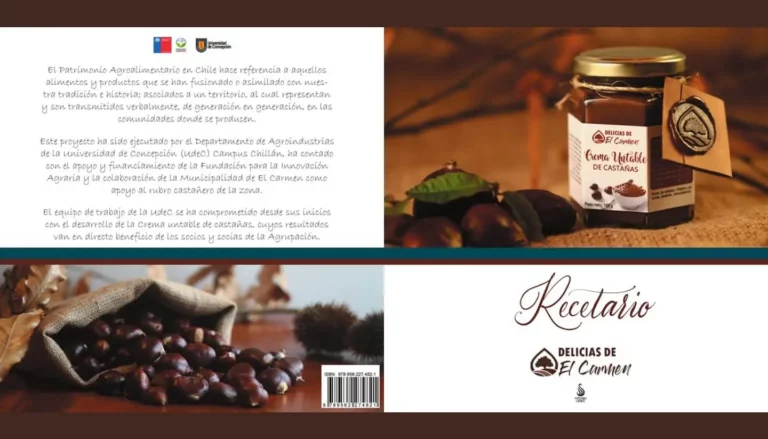 Portada del libro de cocina gratuito: Recetario Delicias de El Carmen
