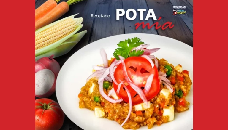 Portada del libro de cocina gratuito: Recetario pota mía 2015
