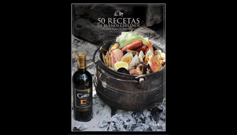 Portada del recetario de cocina gratuito: 50 Recetas de buenos chilenos